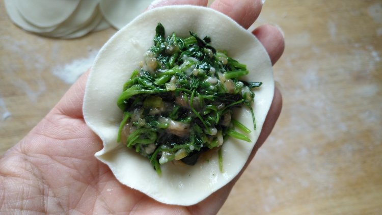 苜蓿馅饺子