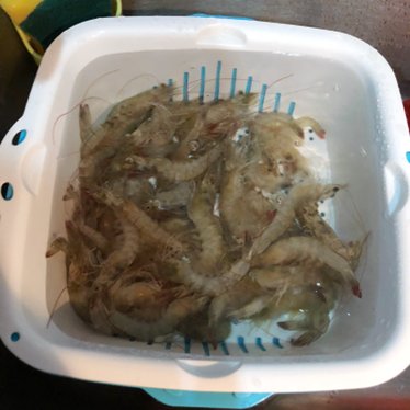 夜排挡风味基围虾