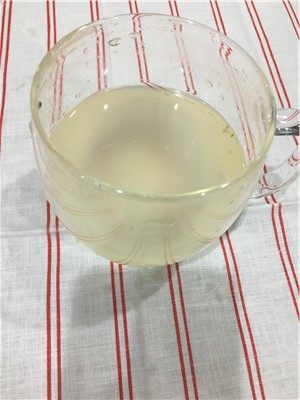 自制水果酵素