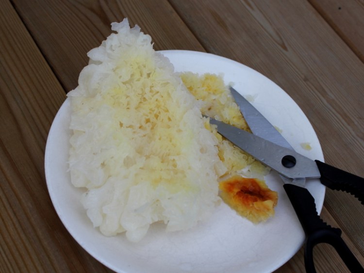 红薯红枣莲子银耳羹