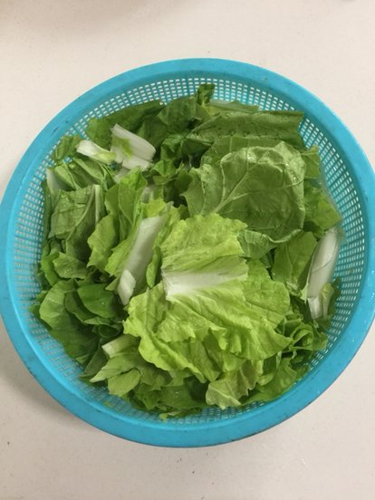 奶白菜煎豆腐