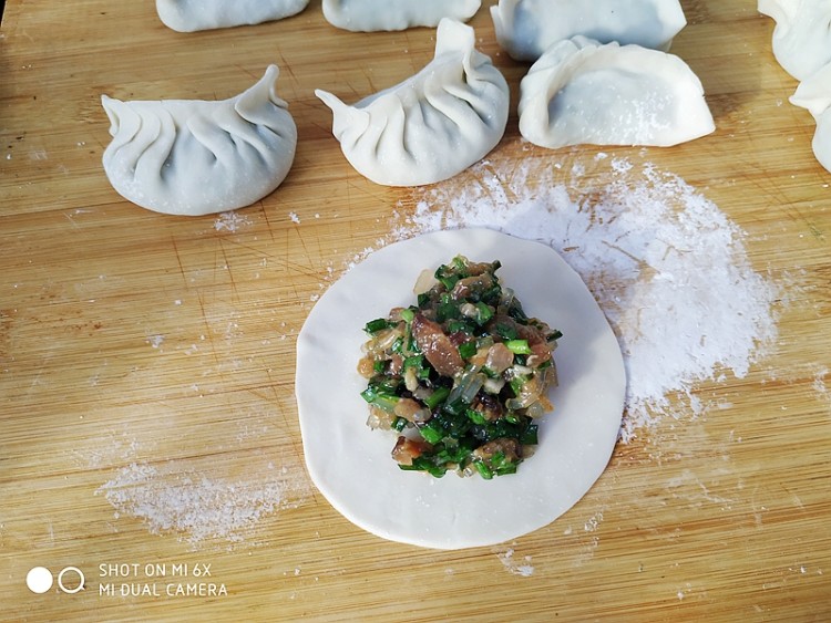 韭菜肉馅生煎饺