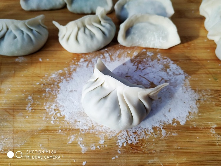 韭菜肉馅生煎饺