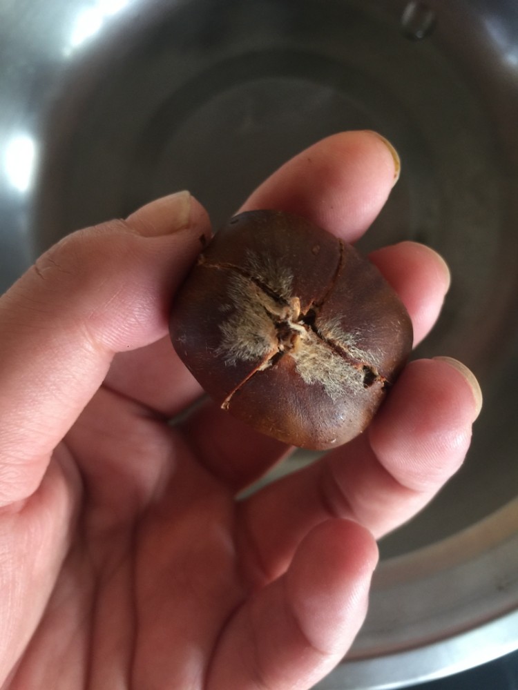 微波甜板栗